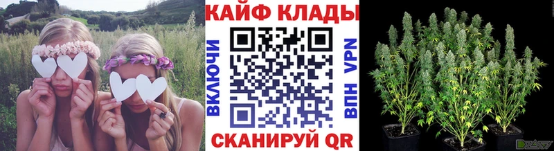 Продажа наркотиков Торопец КОКАИН  Меф мяу мяу  ГАШИШ  АМФЕТАМИН  Конопля 