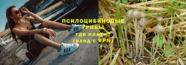 СК Нефтекумск