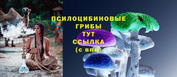 СК Нефтекумск