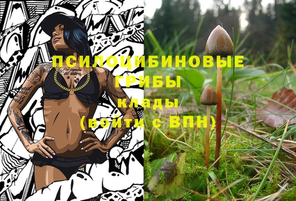 СК Нефтекумск