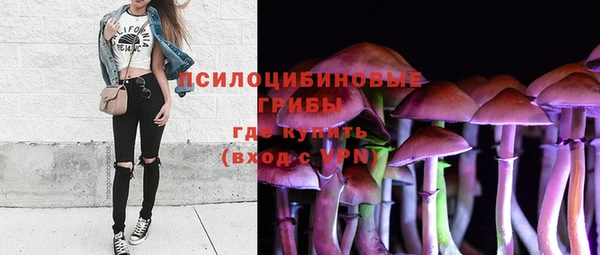 СК Нефтекумск