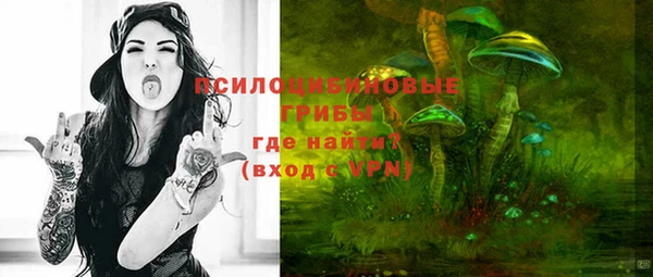 СК Нефтекумск